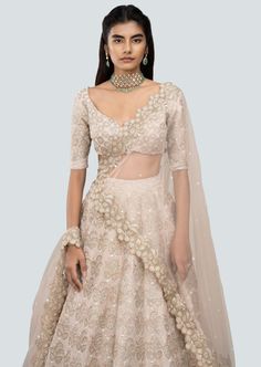 Champagne pastel tissue applique and heavy embellished raw silk kali lehenga with broad border, blouse and cutwork border net dupatta. Reception Lehenga In Tissue Silk With Cutdana, Tissue Silk Lehenga With Cutdana For Reception, Raw Silk Lehenga With Sheer Dupatta For Reception, Wedding Choli With Cutdana On Net Material, Wedding Choli With Cutdana On Net, Diwali Net Sets With Cutdana, Reception Raw Silk Choli With Sheer Dupatta, Lehenga With Cutdana In Net With Traditional Drape, Raw Silk Choli With Sheer Dupatta For Reception