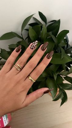 Dark brown almond autumn nails with leopard print Fall Leapord Nails, Almond Autumn Nails, Nails With Leopard Print, Fall Autumn Nails, Leopard Nail Designs, Zebra Print Nails, Cheetah Print Nails, Brown Nails Design, Maroon Nails