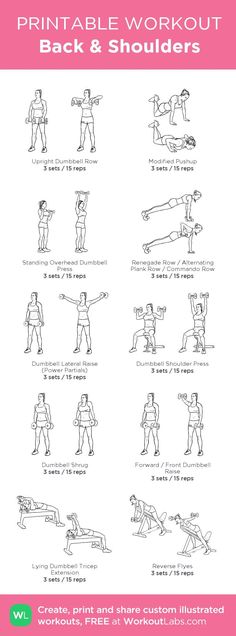 the printable workout guide for back and shoulders