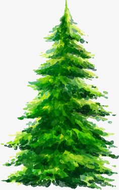 a watercolor painting of a green christmas tree