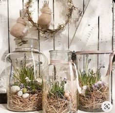 three glass vases filled with plants and eggs