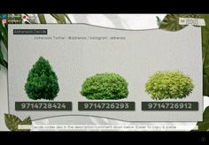 an image of different types of trees in the same color and size as shown on this screen