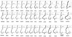 an image of nose profiles chart with the names and description for each individual's nose