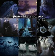 there are many different pictures with words on them that say pretty like a scorpioo