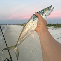 a person holding up a fish on the beach with a fishing rod in their hand