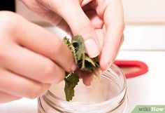 How to Extract Mint Oils from Leaves: 10 Steps (with Pictures) Herbs And Uses, Cheap Vodka, Homemade Deodorant, Homemade Cosmetics, Mint Oil, Herbal Tinctures, Aroma Oil, Spices And Herbs, Wise Women