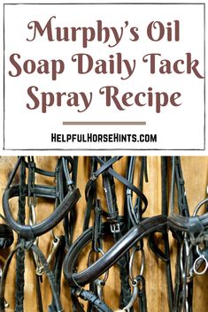 several horses are lined up with the words murphy's oil soap daily tack spray recipe