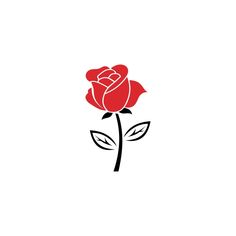 a red rose on a white background