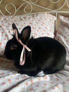 a small black rabbit with a pink ribbon on its head sitting on a white bed