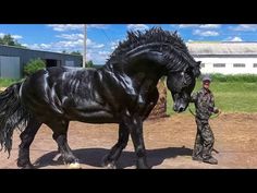 a man standing next to a black horse