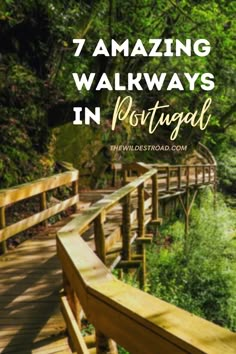 A wooden walkway immersed in nature. Portugal Off The Beaten Path, Hikes In Portugal, Portugal Nature Beautiful Places, Portugal Hikes, Hiking Portugal, Beautiful Walkways, Portugal Hiking, Portugal Places To Visit, Silves Portugal