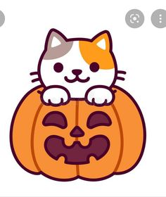 a cat sitting on top of a pumpkin