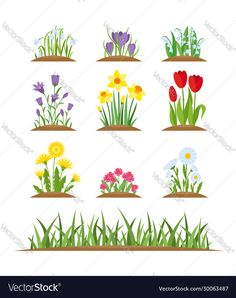 various flowers and plants in pots on the ground with grass, tulips, daffodils