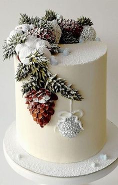 a white frosted cake with pine cones and decorations