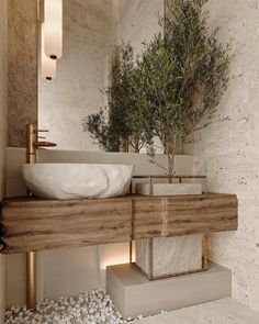 a bathroom with a sink, mirror and potted plant