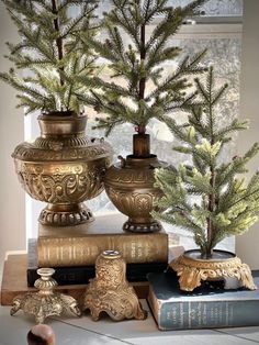 two vases with pine trees in them on top of books and other ornaments next to a window