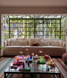 a dog laying on top of a couch in a living room next to a window