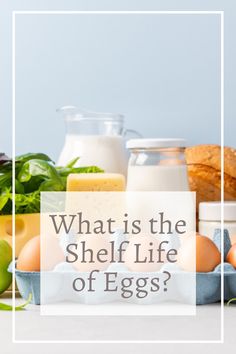 what is the shelf life of eggs? with an egg carton in front of it