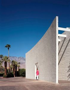 a woman standing in front of a white wall with palm trees and mountains in the background