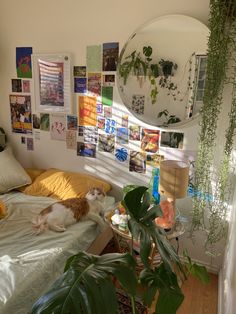 a cat laying on top of a bed next to a plant in a living room