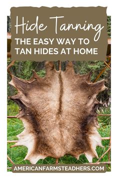 the back side of a deer's head with text overlay that reads hide taning the easy way to tan hides at home