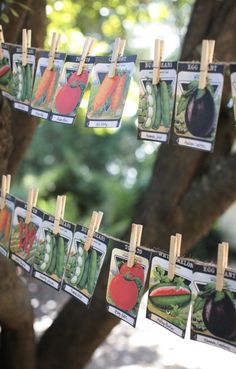 there are many pictures hanging on the clothes line with carrots and radishes