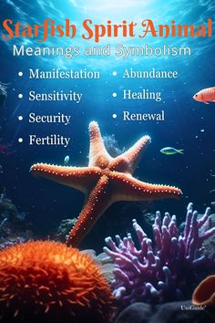 starfish spirit animal meanings and symbolism