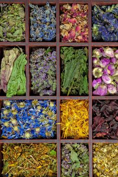 an assortment of different colored flowers in wooden trays with dried petals and herbs inside