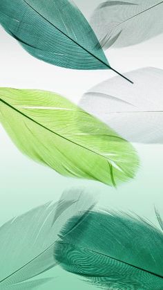 three green and white feathers floating in the air