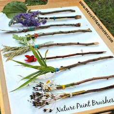 flowers and twigs are arranged on a sheet of white paper with text overlay that says nature paint brushes