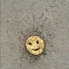 a smiley face made out of dirt on the ground