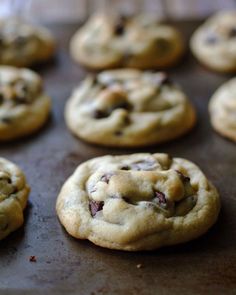 chocolate chip cookies on a baking sheet ready to be baked in the oven for consumption