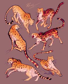 some very pretty cheetah drawings on a purple background