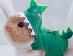 a brown and white rabbit wearing a green dinosaur costume