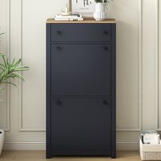 a black cabinet with two drawers next to a potted plant