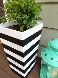 a potted plant sitting on top of a wooden deck next to a green lantern