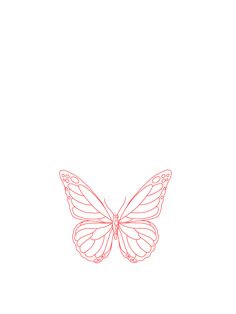 a drawing of a butterfly on a white background with red lines in the shape of a butterfly