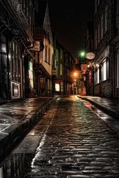 a cobblestone street at night with the lights on and buildings reflected in the wet pavement