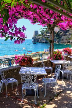 an outdoor dining area with tables and chairs next to the water's edge, pink flowers are in blooming everywhere