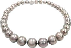 Formal Hand-strung Round Bead Pearl Necklace, Formal Hand-strung Pearl Necklace With Round Beads, High Luster Tahitian Pearl Necklace With Round Beads, Tahitian Pearl Necklace With High Luster Round Beads, South Sea Pearl Necklace, Sea Pearl, South Seas, South Sea Pearls, Natural Colors