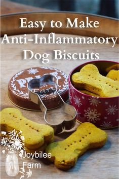 homemade dog biscuits with the words easy to make anti - inflamatory dog biscuits