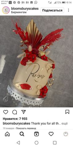 the cake is decorated with red flowers and feathers