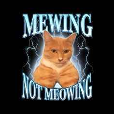 an orange cat with lightning in the background and meowing not meowing on it