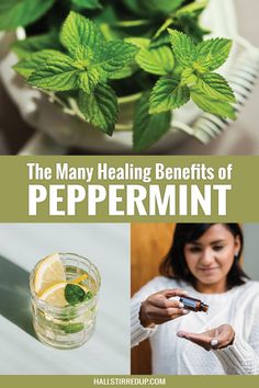 Peppermint is a well known herb for the winter season. But beyond it’s seasonal goodness, Peppermint offers some real health benefits. Checko ut my post to read just a few of the health benefits you’ll gain from including peppermint in your natural medicine cabinet.