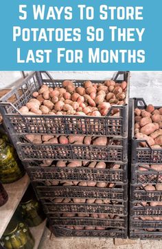 crates filled with potatoes sitting next to each other