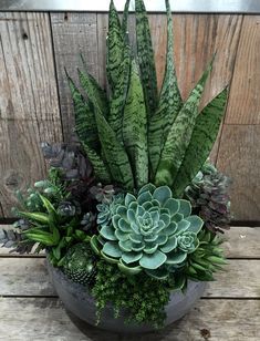 an arrangement of succulents and other plants in a bowl on a wooden table