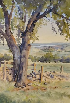 a watercolor painting of a tree and fence