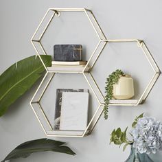 three hexagonal shelves with plants and books on them in front of a white wall