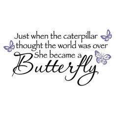 a quote that says, just when the caterpillar thought the world was over she came