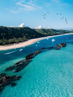 an aerial view of the ocean with boats in the water and birds flying over it